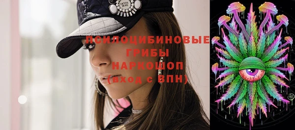 дживик Алексин