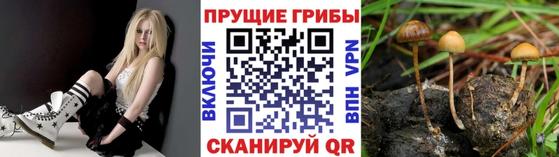 Галлюциногенные грибы мухоморы  Оленегорск 